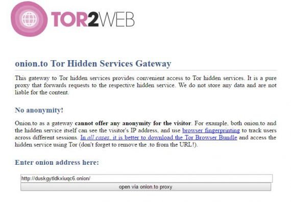 enter website into tor search engine